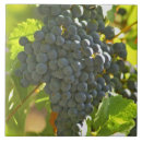 Search for grapevine tiles Vineyard