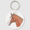 Search for blazed Horse