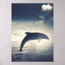 Search for jumping dolphin art Water