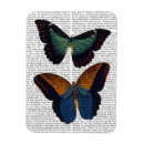 Search for five magnets Antique