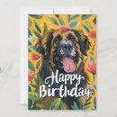 Search for leonberger Birthday