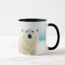 Search for polar ice mugs Arctic