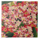 Search for frangipani tiles Flowers