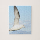 Search for gull puzzles Ocean