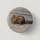 Search for chipmunks accessories Chipmonk