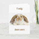 Search for bunny anniversary cards Wife