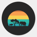 Search for acacia stickers Sunrise