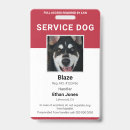 Search for dog services Modern