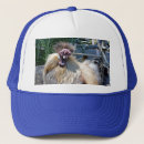 Search for chickens hats Rooster