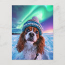Search for cockerals postcards Dogs