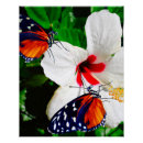 Search for hibiscus flower posters Animal