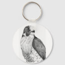 Search for pencils key rings Hawk