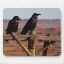 Search for new mexico electronics Desert