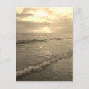 Search for sepia postcards Ocean