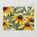 Search for black eyed susans postcards Floral