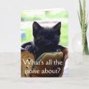 Search for noises cards Kitten