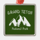 Search for grand teton christmas tree decorations Mountains