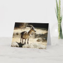 Search for goates cards Nature