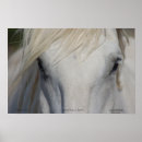 Search for stickers posters Animal