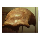 Search for cranium Skull