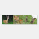 Search for mallards bumper stickers Wildlife