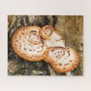 Search for fungi puzzles Nature
