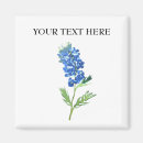 Search for bluebonnet magnets Lone star state