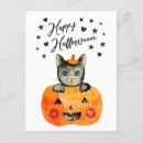 Search for kitty halloween cards Cats