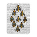 Search for bees magnets Animals