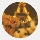 Search for cat lover stickers Cute pets