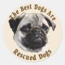 Search for humane society stickers Shelter