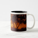 Search for elephant trunk mugs Safari
