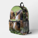 Search for guinea pigs backpacks Rodent
