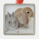 Search for lop rabbit christmas tree decorations Cute