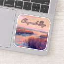 Search for vintage virginia stickers Chesapeake bay