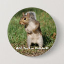 Search for gray squirrel badges Nature