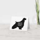 Search for spaniel cards Pet