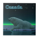 Search for bear tiles Ursus maritimus