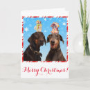 Search for doberman christmas cards Funny