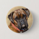 Search for brindle badges Boxer