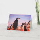 Search for blank christmas note cards Snow