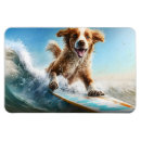 Search for surfing magnets Vacation