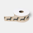 Search for dachshund ribbon Puppy