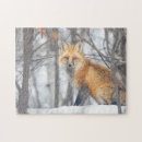 Search for fox hunt puzzles Animals