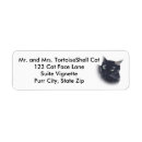 Search for tortoise shell Black