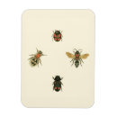 Search for vision magnets Insects