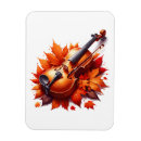 Search for fiddle magnets Instrument