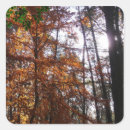 Search for sunlight stickers Nature