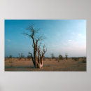 Search for african nations posters Bare