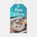 Search for dwarf gift wrap Furry